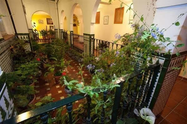 Hostal San Juan سالوبرينيا المظهر الخارجي الصورة